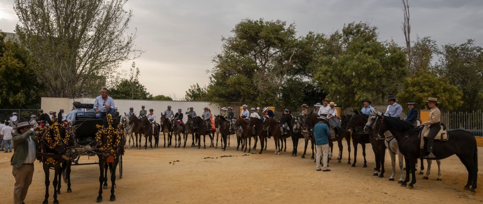 Caballos01