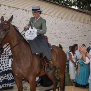 Caballos03