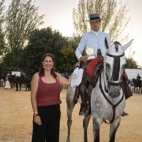 Caballos04