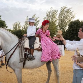 Caballos07