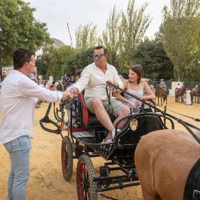 Caballos14