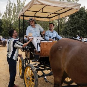 Caballos15