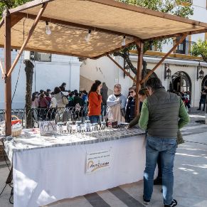 IIFestivalCuaresma14