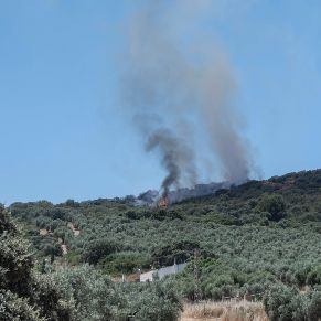 IncendioSierra02