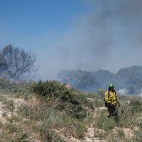 IncendioSierra05
