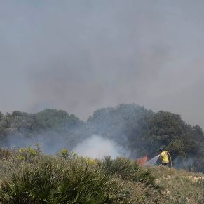 IncendioSierra08