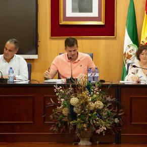Pleno 29Sep2026-06