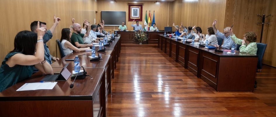 Pleno26Mayo-01