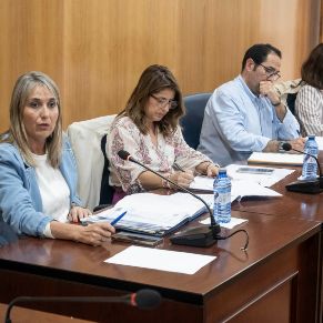 Pleno28Abril-05
