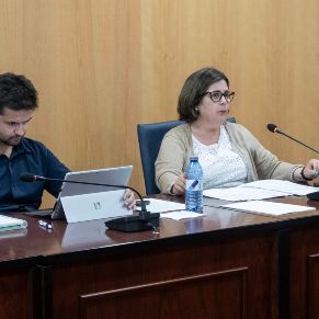 Pleno28Abril-07