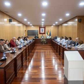 Pleno28Abril-08