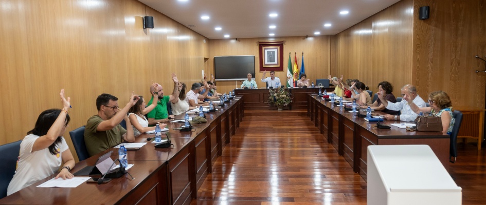 Pleno28Julio-01