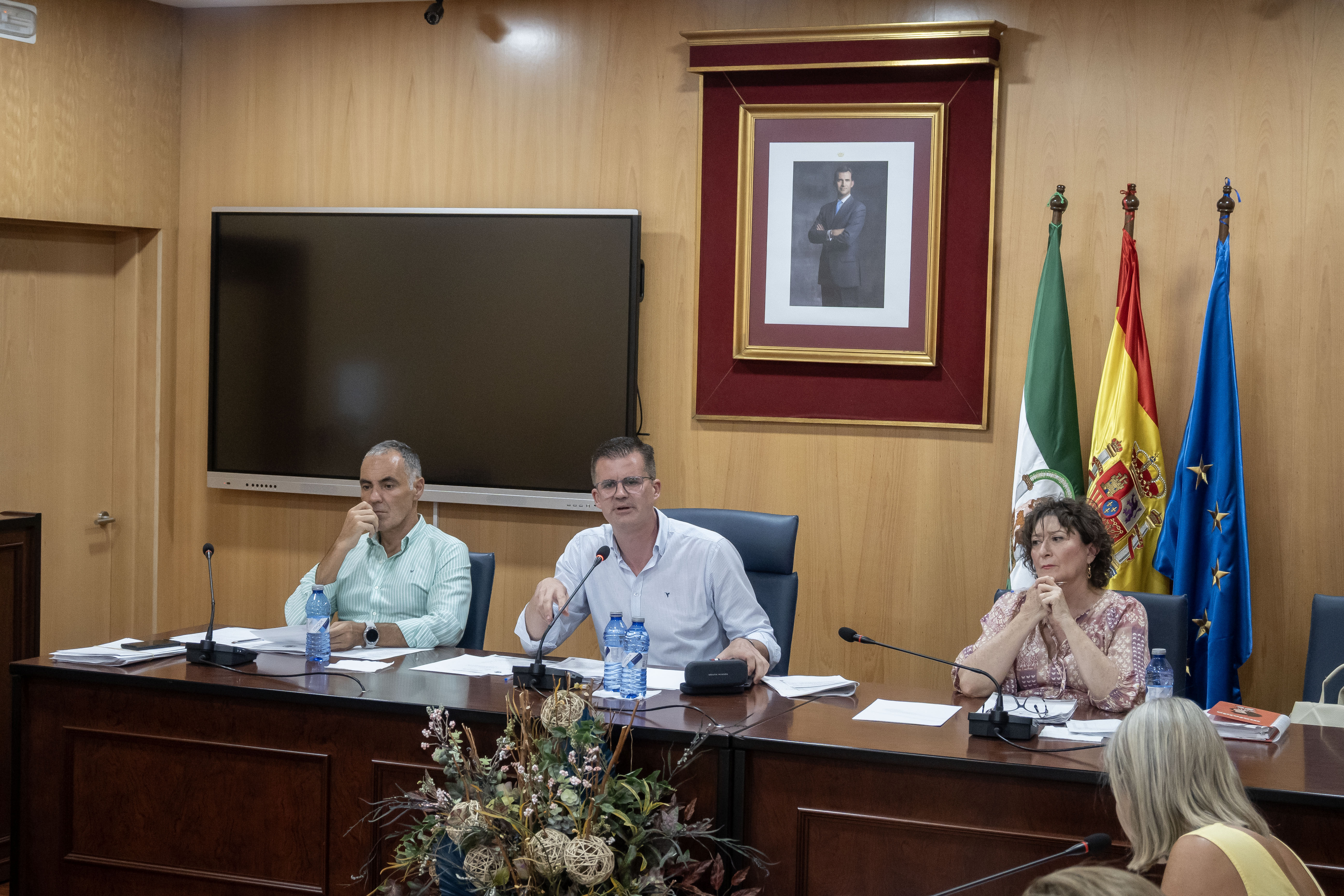 Pleno28Julio-02