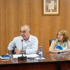 Pleno28Julio-03
