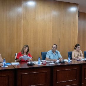 Pleno28Julio-06