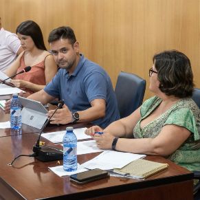 Pleno28Julio-08