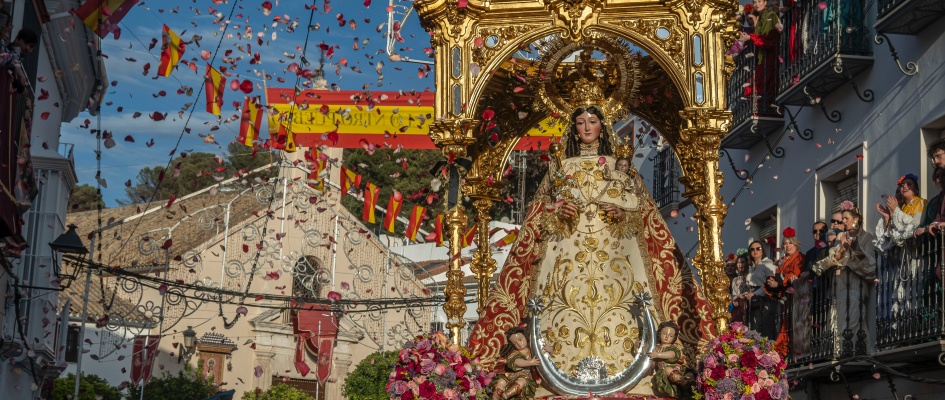 Remedios26-01