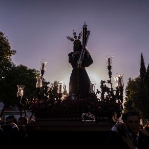Vta13