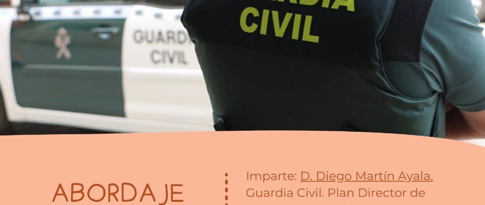 13052025 PLAN DIRECTOR RIESGOS DE INTERNET