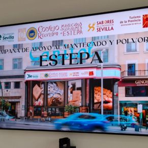 469085813_886397570333928_7897439170898766529_n