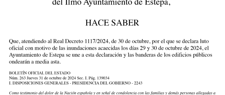 Captura de pantalla 2024-10-31 a las 14.35.43