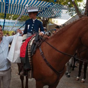 ConcursoCaballos16