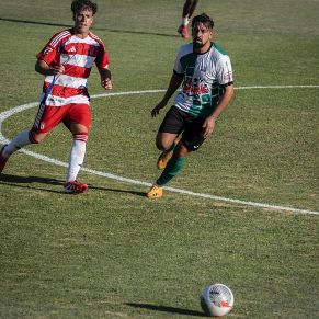 Estepa-Granada07