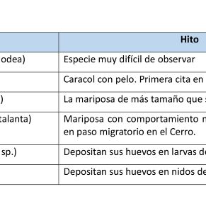 Hitos invertebrados