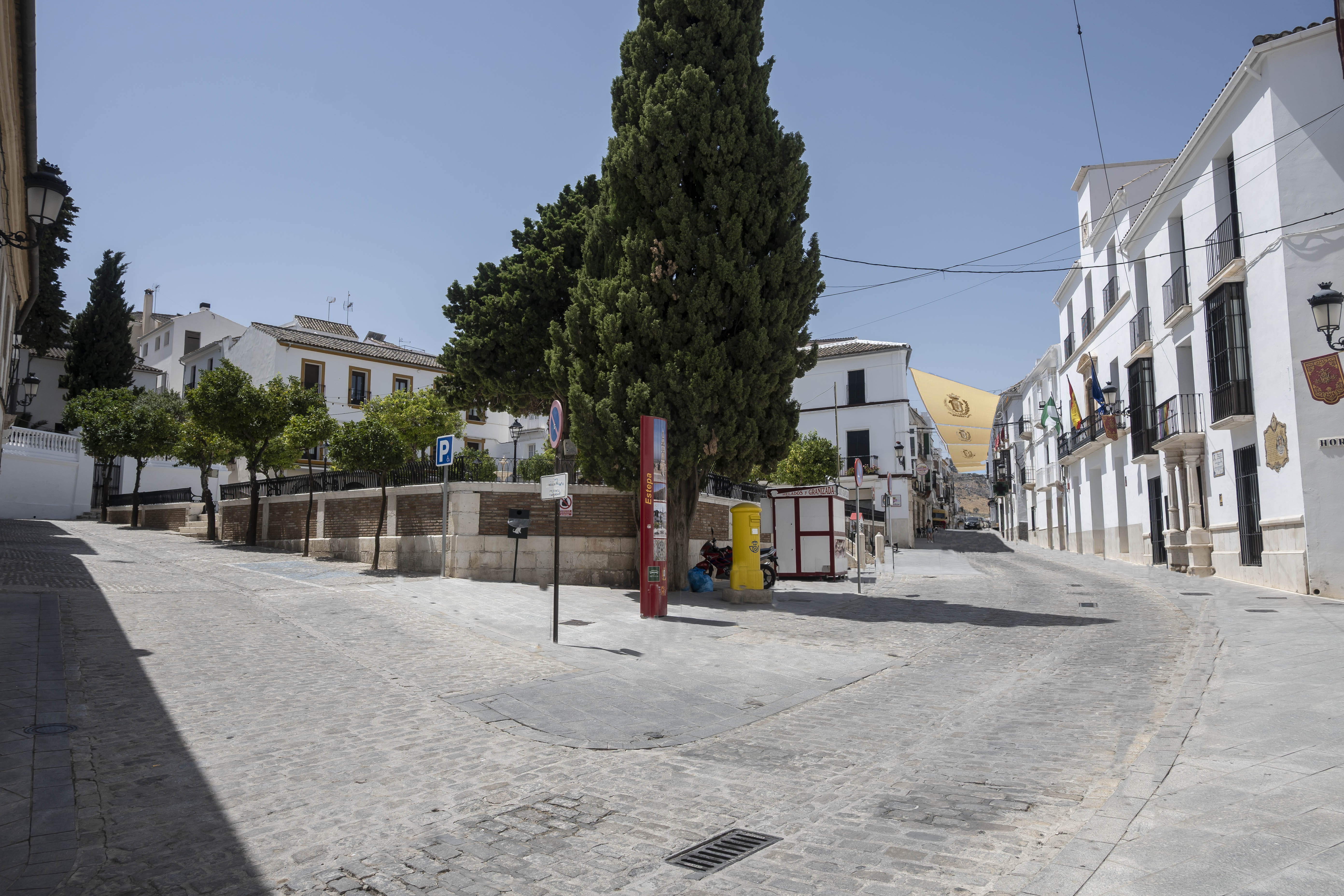 Mesones001