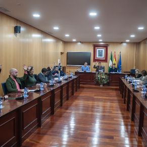 Pleno14Nov-03