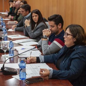 Pleno14Nov-04