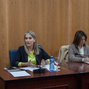 Pleno14Nov-05