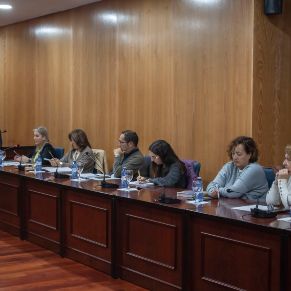 Pleno14Nov-07