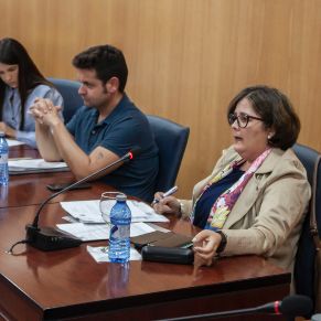 Pleno18Oct-03