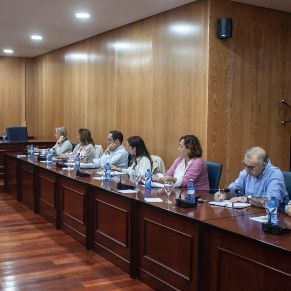 Pleno18Oct-06