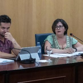 Pleno23Junio-05