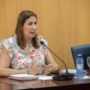 Pleno23Junio-09