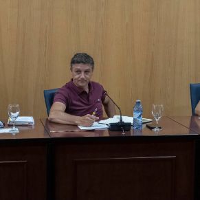 Pleno23Junio-10