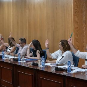 Pleno23Junio-11