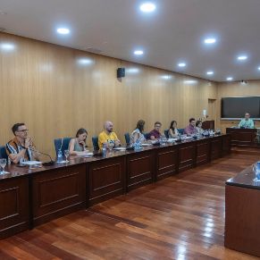 Pleno23Junio-12