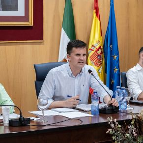 Pleno23Junio-13