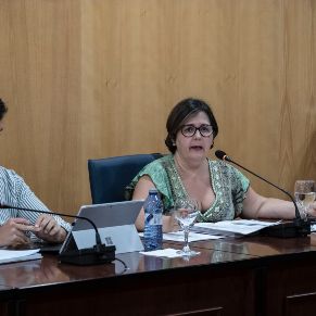 Pleno27Mayo2025-05