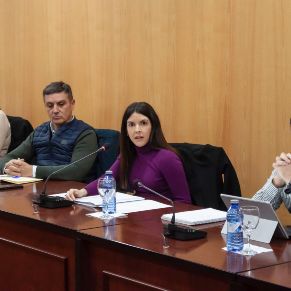 Pleno28Ene2025-06
