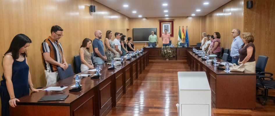 Pleno29Julio-01