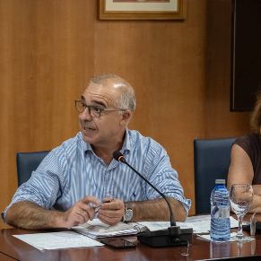 Pleno29Julio-04