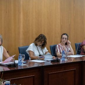 Pleno29Julio-05