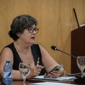 Pleno29Julio-06