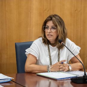 Pleno29Julio-07