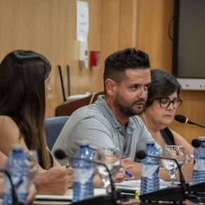 Pleno29Julio-08