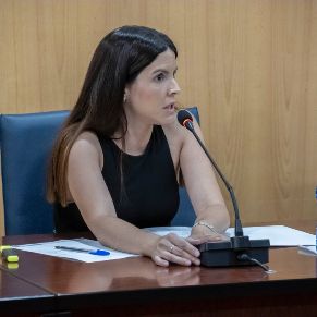 Pleno29Julio-09